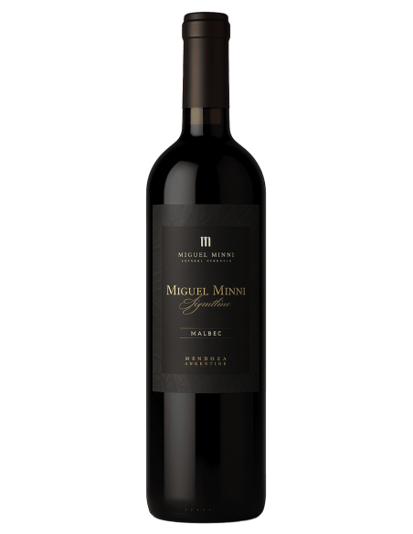 Miguel Minni Malbec