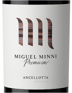 Miguel Minni Anchellotta 2