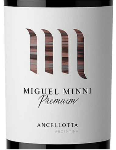 Miguel Minni Anchellotta