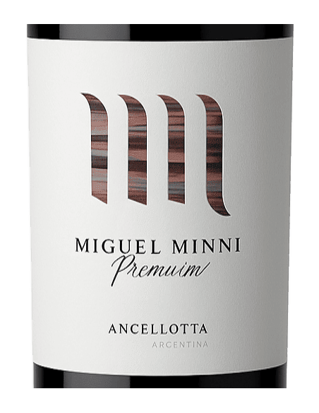 Miguel Minni Anchellotta