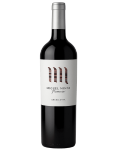 Miguel Minni Anchellotta