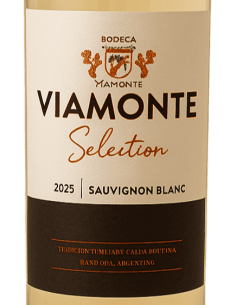 Selección Sauvignon Blanc 2