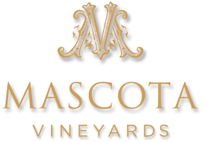 Mascota Vineyards