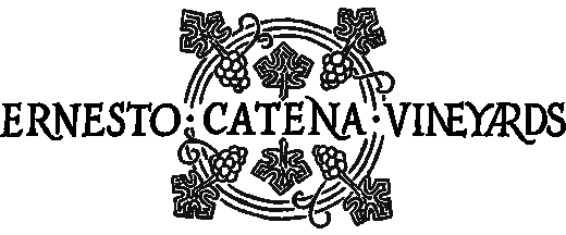 Ernesto Catena Vineyards